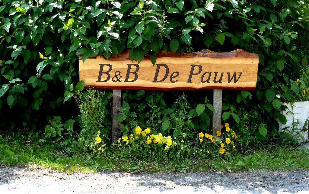 Bed En Breakfast De Pauw Wieringerwaard Room photo